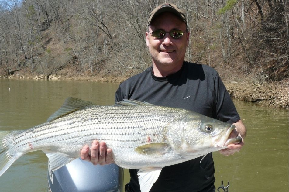 Preparing for your Fishing Trip